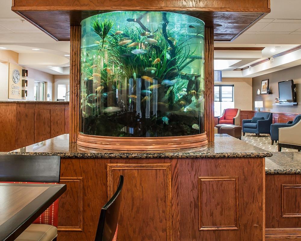 Comfort Suites Near Texas A&M - Корпъс Кристи Екстериор снимка