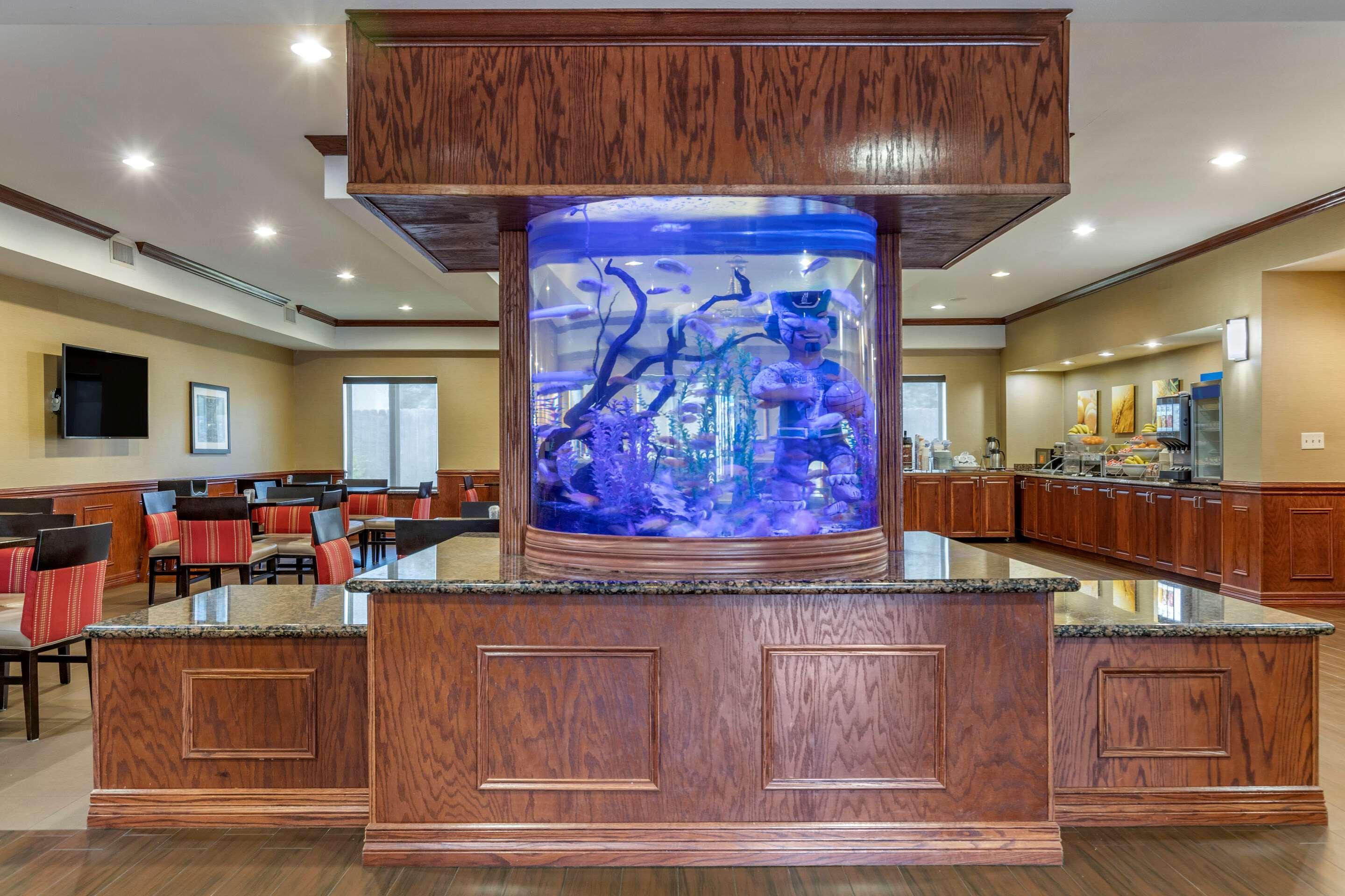 Comfort Suites Near Texas A&M - Корпъс Кристи Екстериор снимка